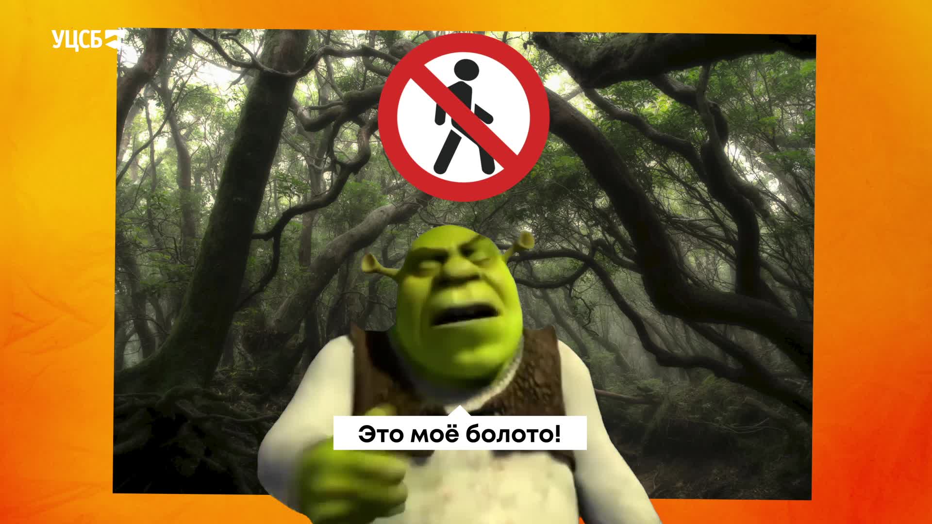 Ролик_вводный инструктаж финал